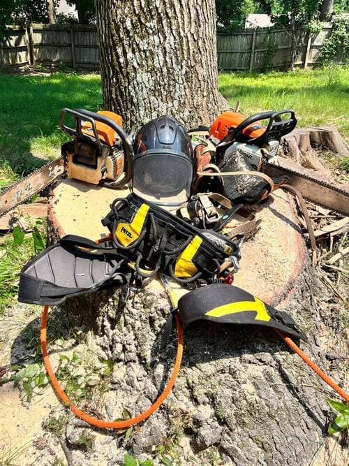 tree care in Memphis TN