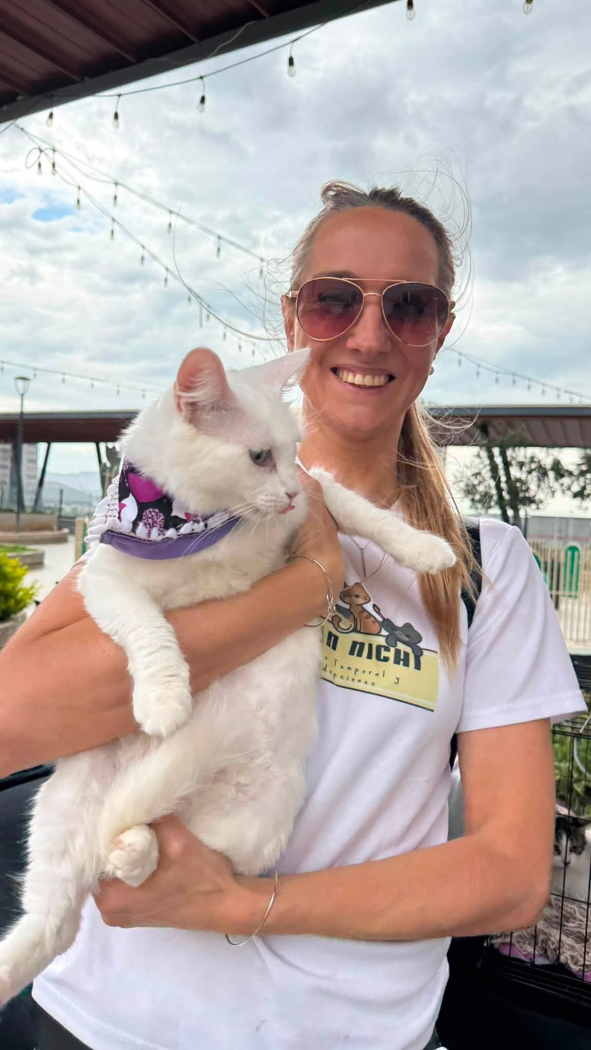 Voluntaria cargando un gato blanco en una jornada