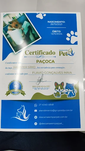 Processos certificados