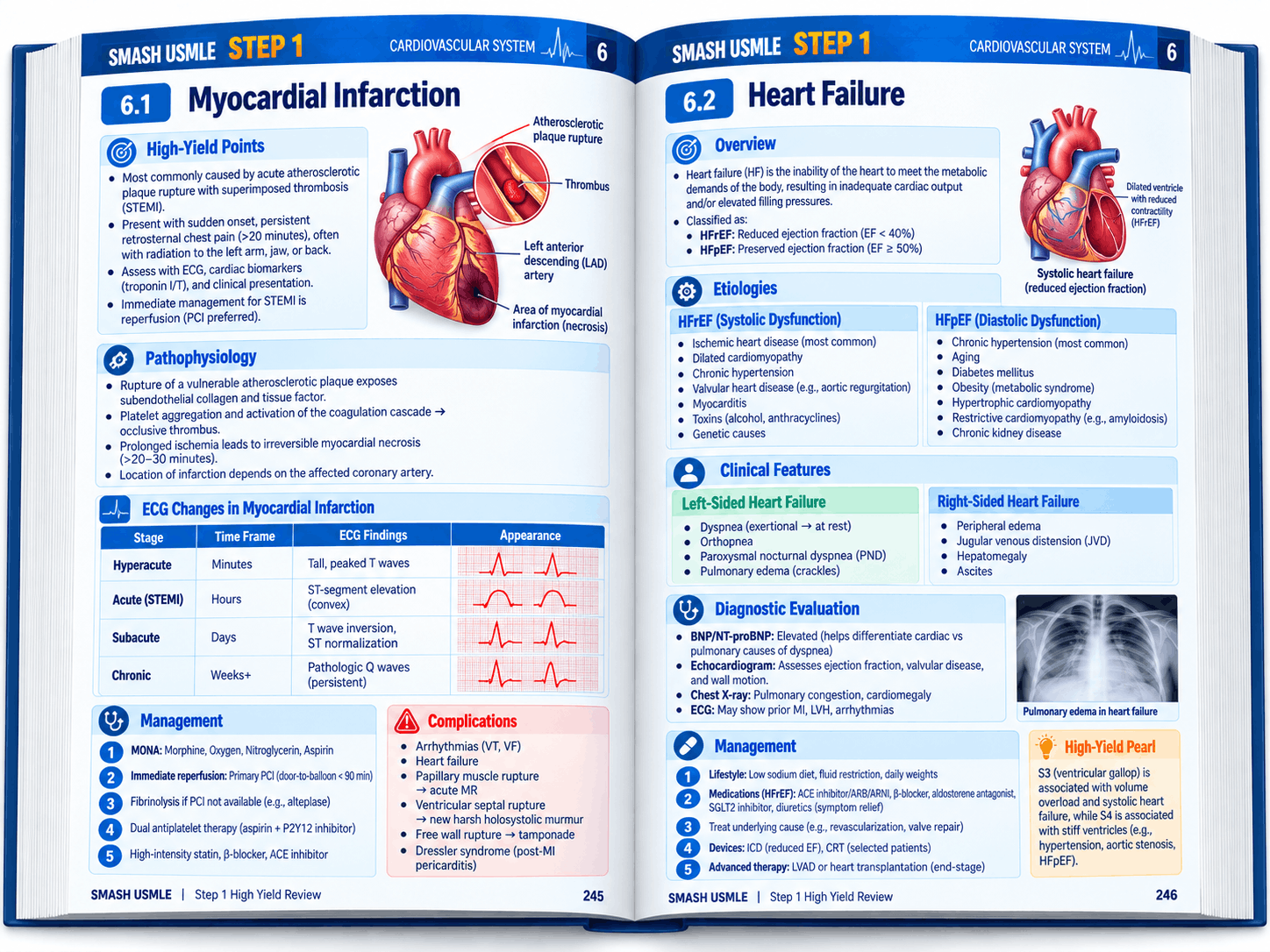 Illustrative open-book cardiovascular design mockup, not a final manuscript excerpt