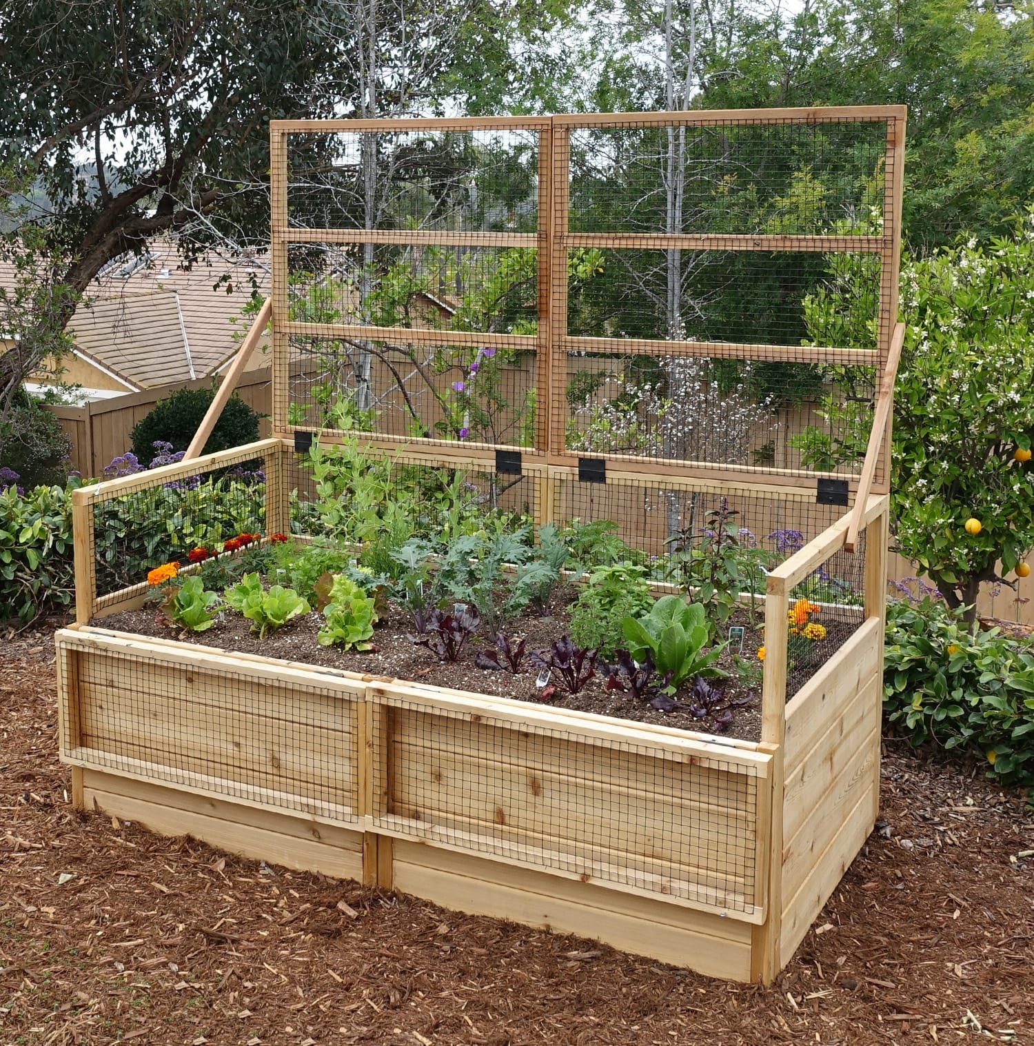 Urban Cedar 4x1.5 raised garden bed for patios
