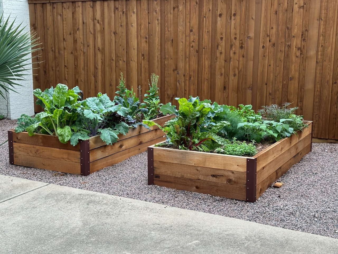 Raised Bed Garden in back yard