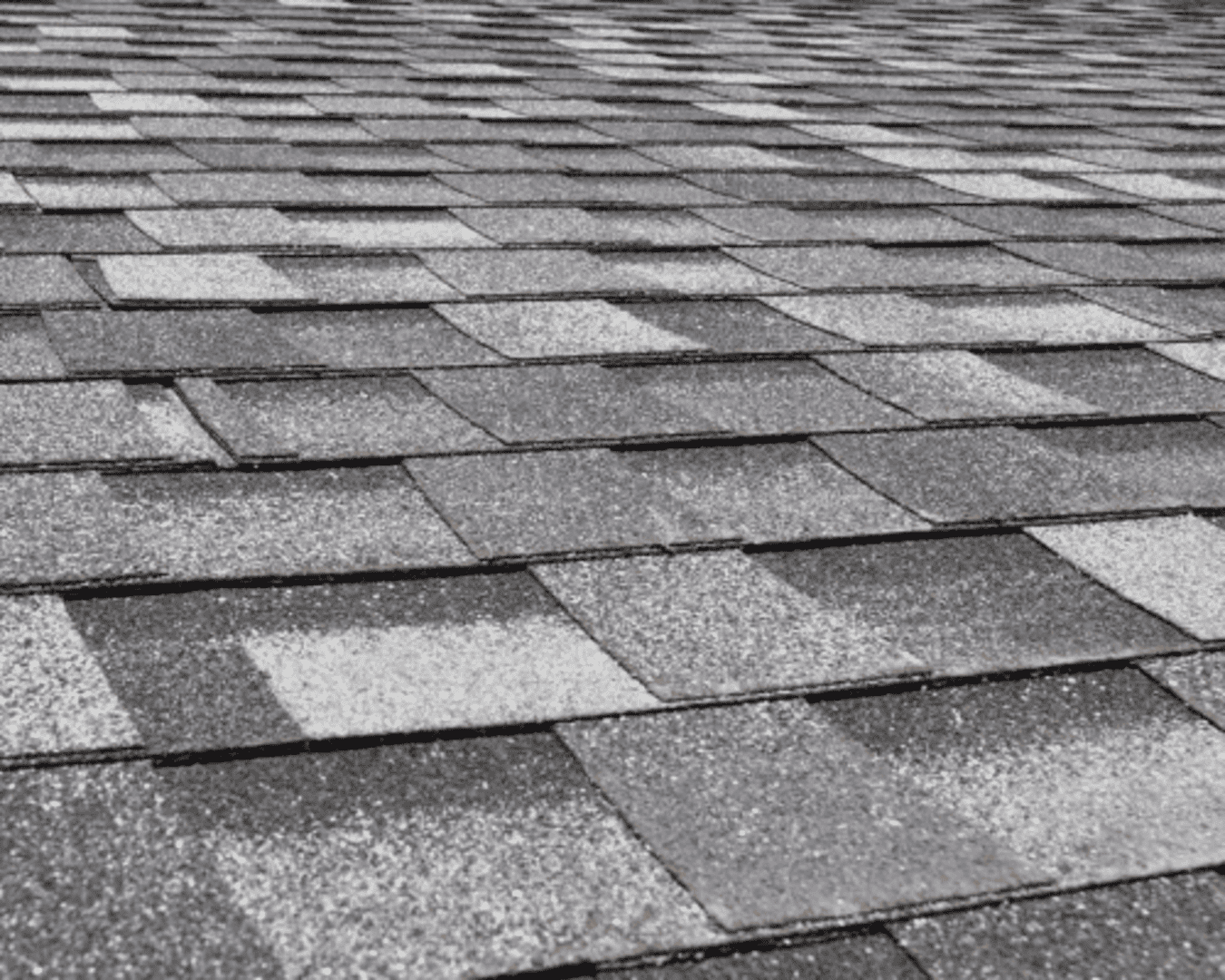 Winter Park Shingle Roofing