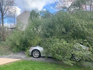 {{ custom_values.service_1 }} in {{custom_values.area_7})