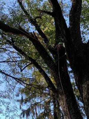 {{ custom_values.service_3 }} in {{custom_values.area_4})