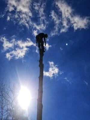 {{ custom_values.service_3 }} in {{custom_values.area_6})