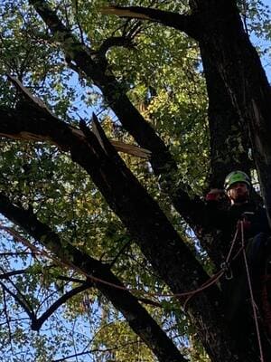 {{ custom_values.service_2 }} in {{custom_values.area_4})