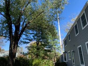 {{ custom_values.service_3 }} in {{custom_values.area_7})