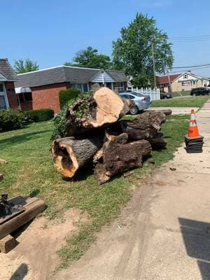 {{ custom_values.service_1 }} in {{custom_values.area_1})