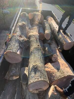 {{ custom_values.service_4 }} in {{custom_values.area_5})