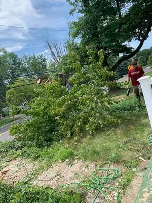 {{ custom_values.service_3 }} in {{custom_values.area_1})