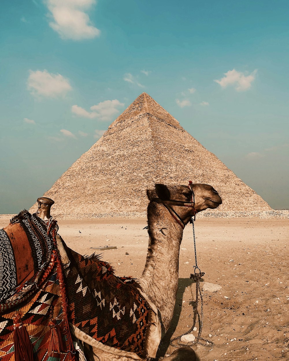 Paisaje de Egipto