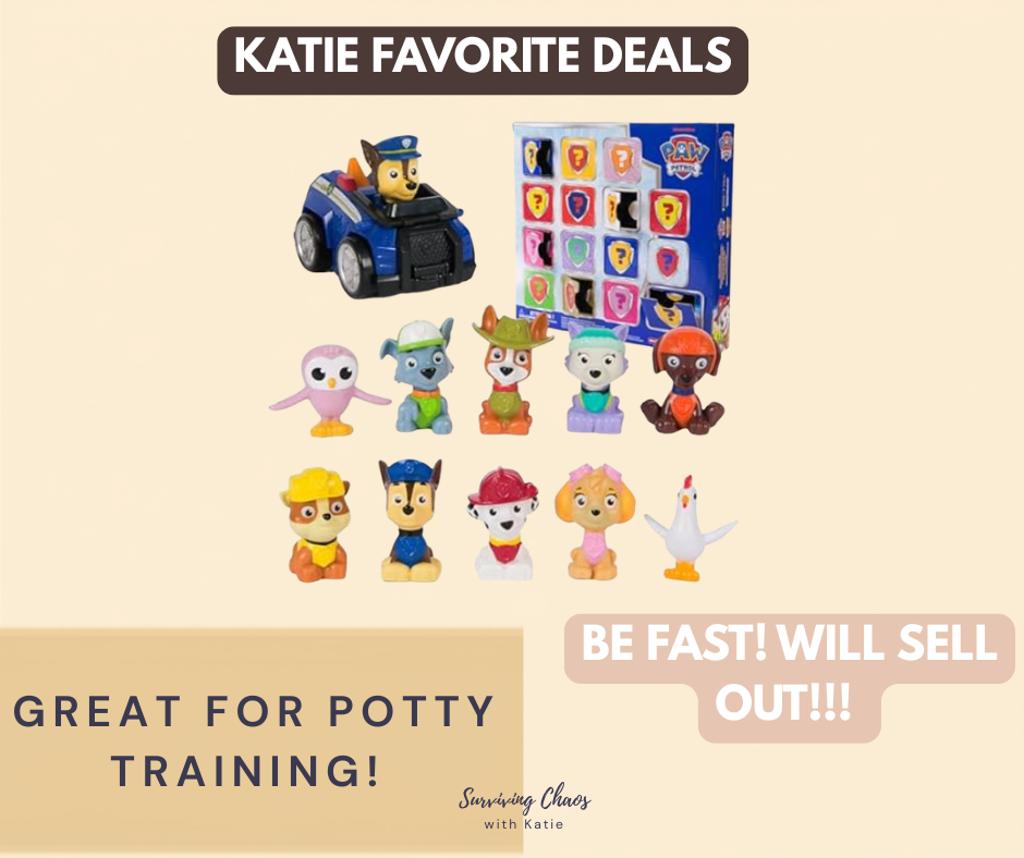 Paw Patrol Gift Box