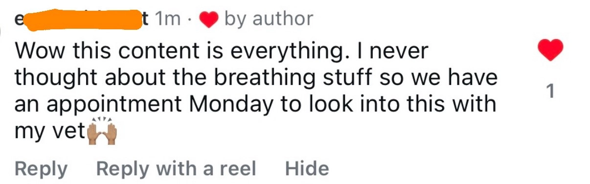Client Testimonial
