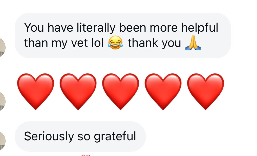 Client Testimonial