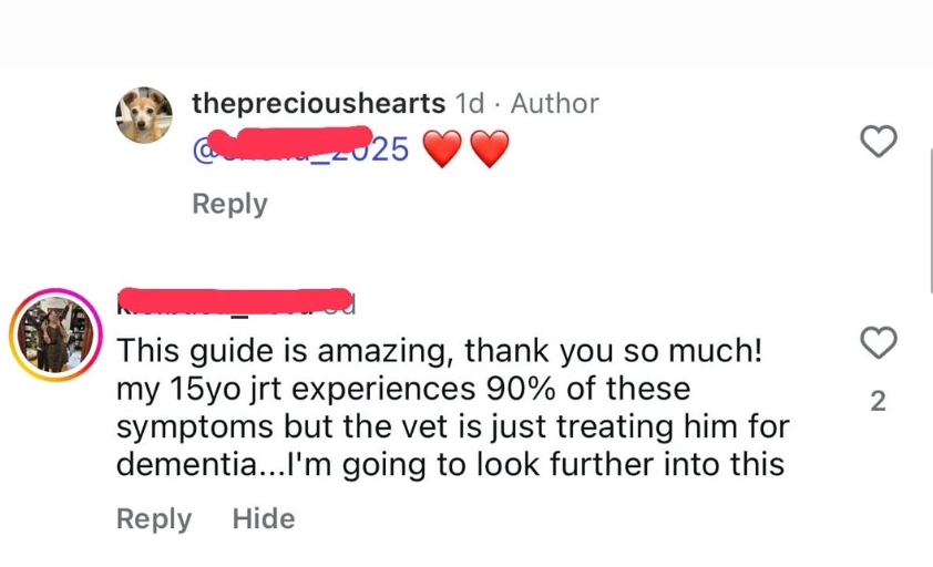 Client Testimonial