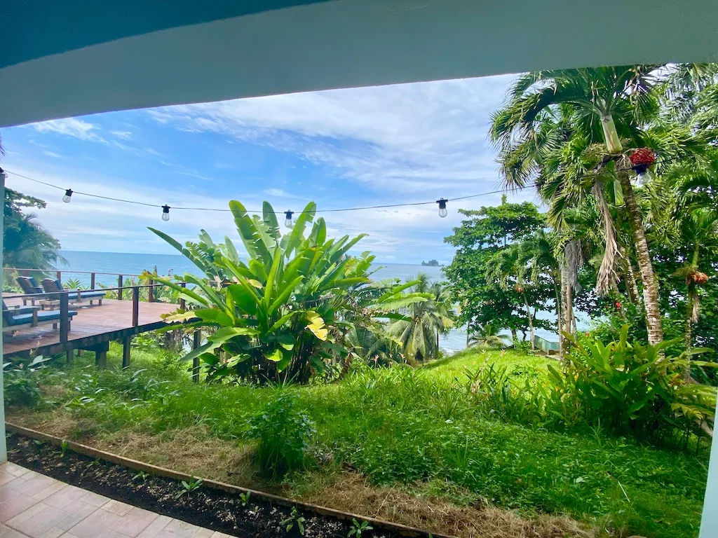 Toucan Room — Oceanview Deluxe Room