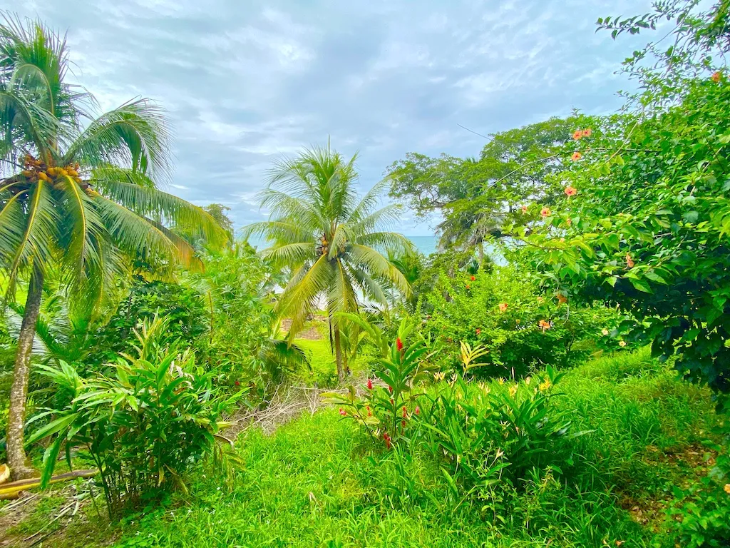 Tropical Bird Bungalow — Superior Oceanview Bungalow