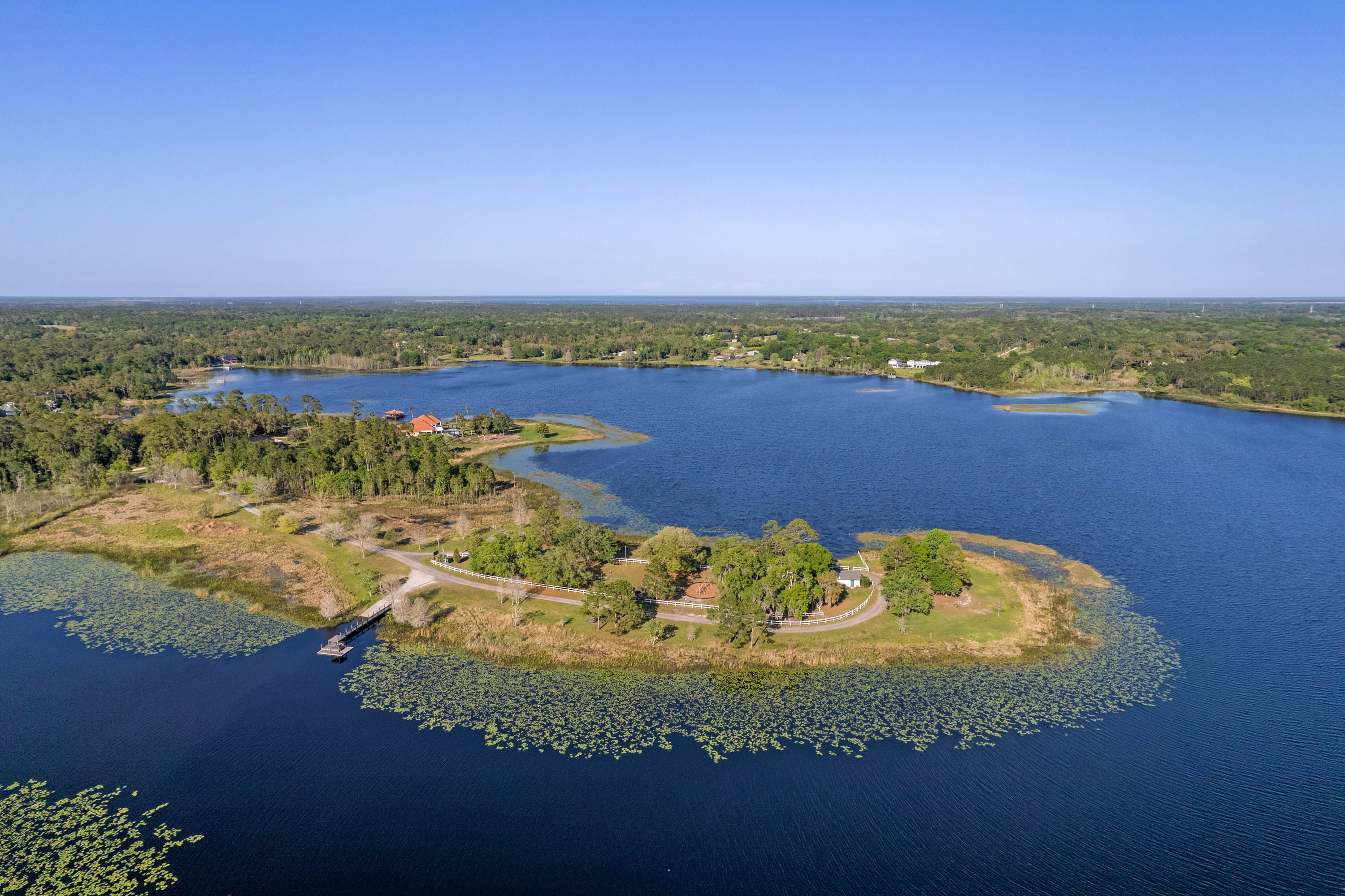 Seminole Woods