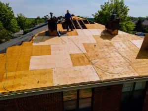 {{ custom_values.service_4 }} in {{custom_values.area_4})