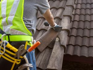 {{ custom_values.service_2 }} in {{custom_values.area_6})