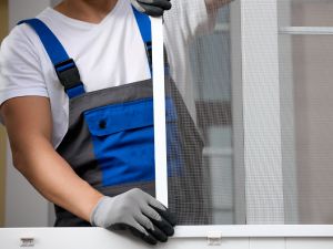 {{ custom_values.service_3 }} in {{custom_values.area_2})