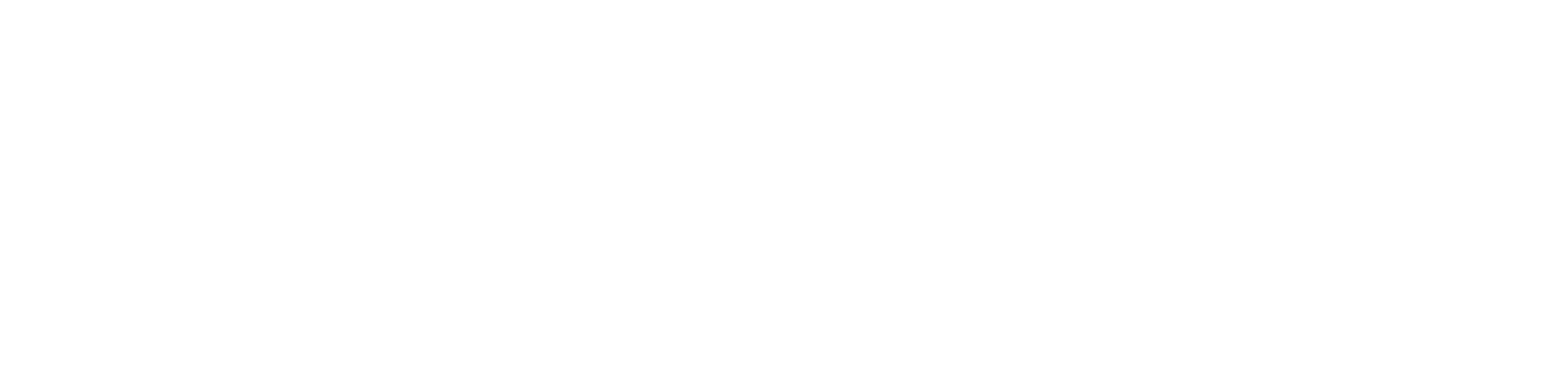 MegaFox G2G Empresas