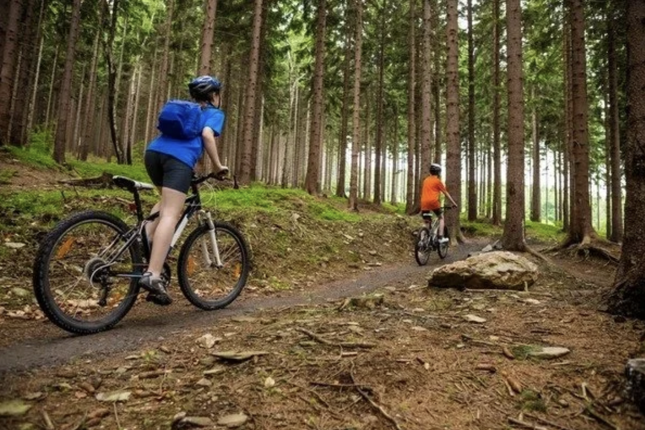 Biking trails through the Reserve