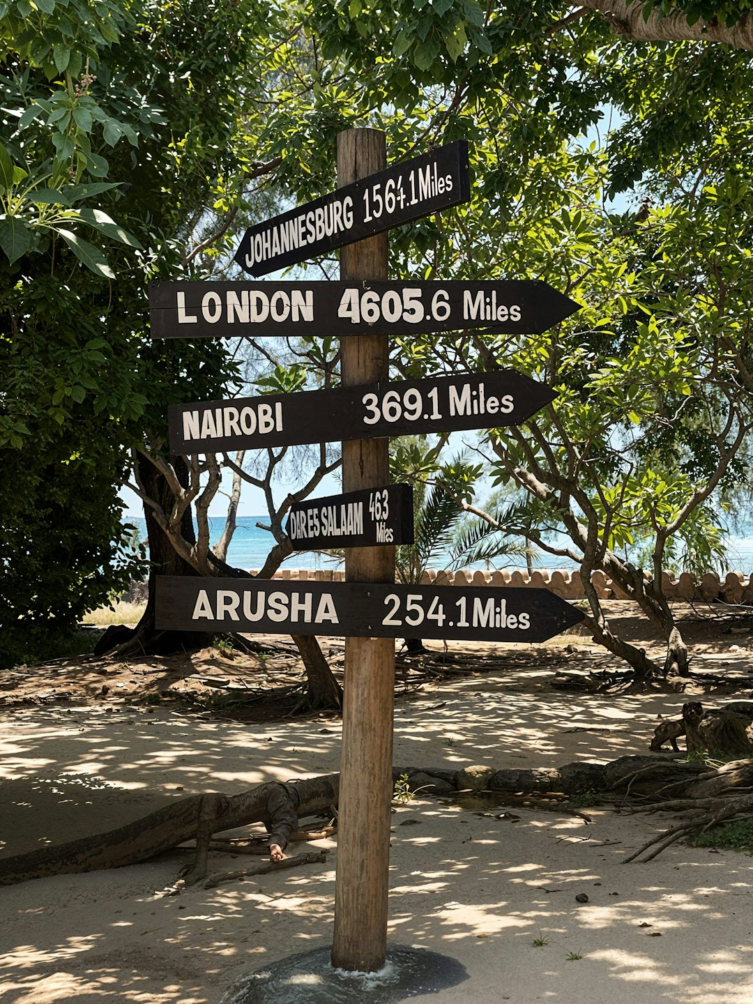 Black diasporic travel experience