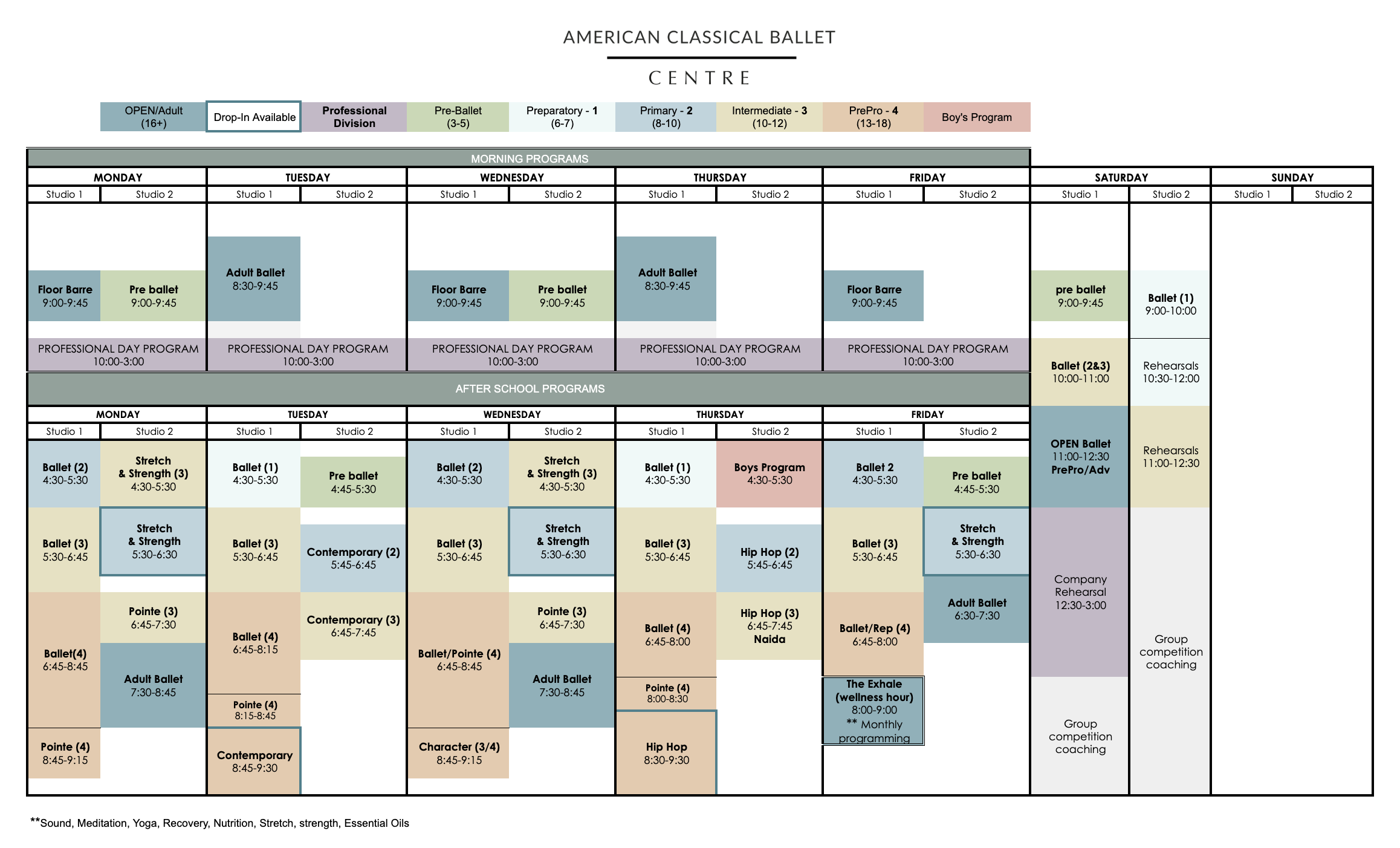 American Classical Ballet Class Schedule