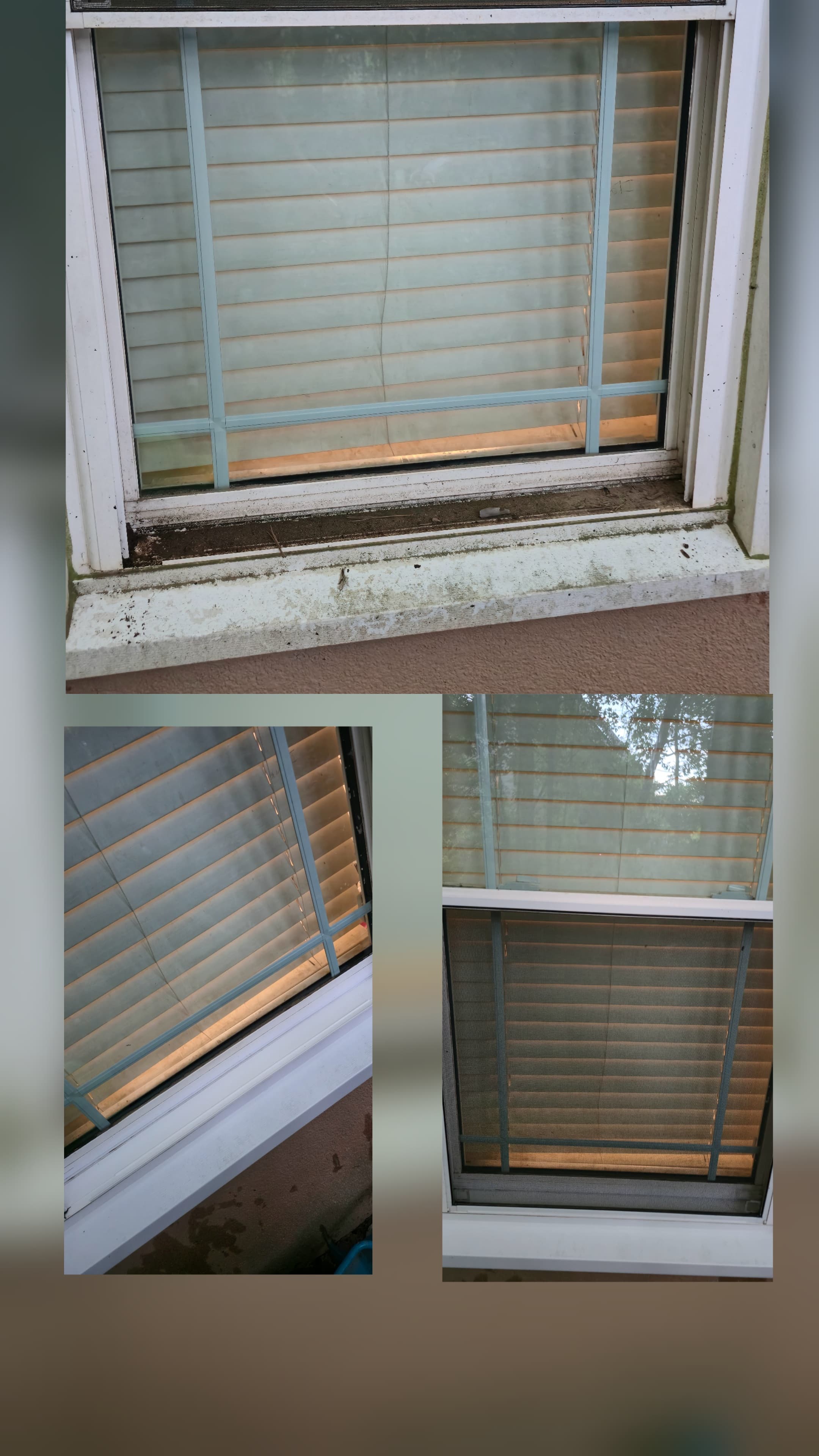 Recent residential exterior cleaning project