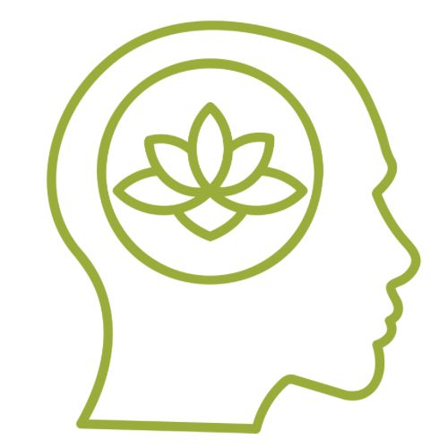 Sleep and Stress Management, Natural Solutions for Insomnia, doterra Serenity, doterra Balance, Frankincense, Focus, Memory