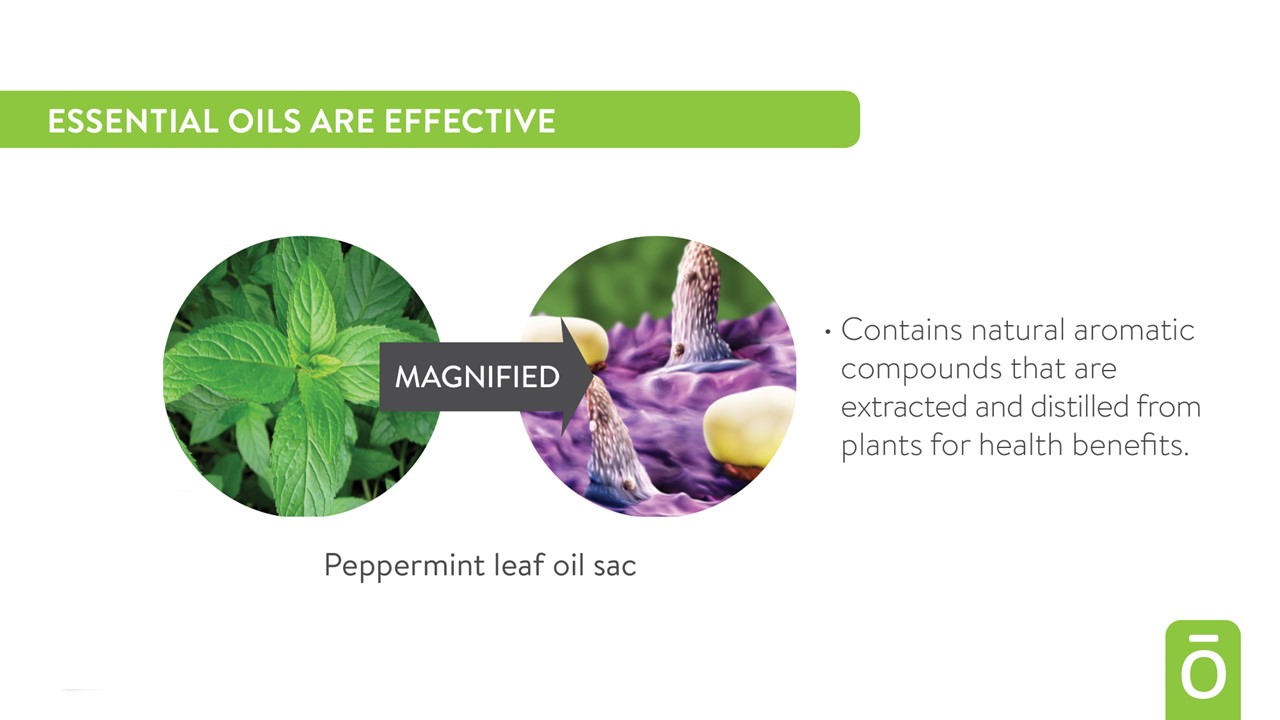 effective treatment, active botanicals, harness nature's power, root, bark, flowers leaves of plants, natural medication, natural medicine, promote helath.