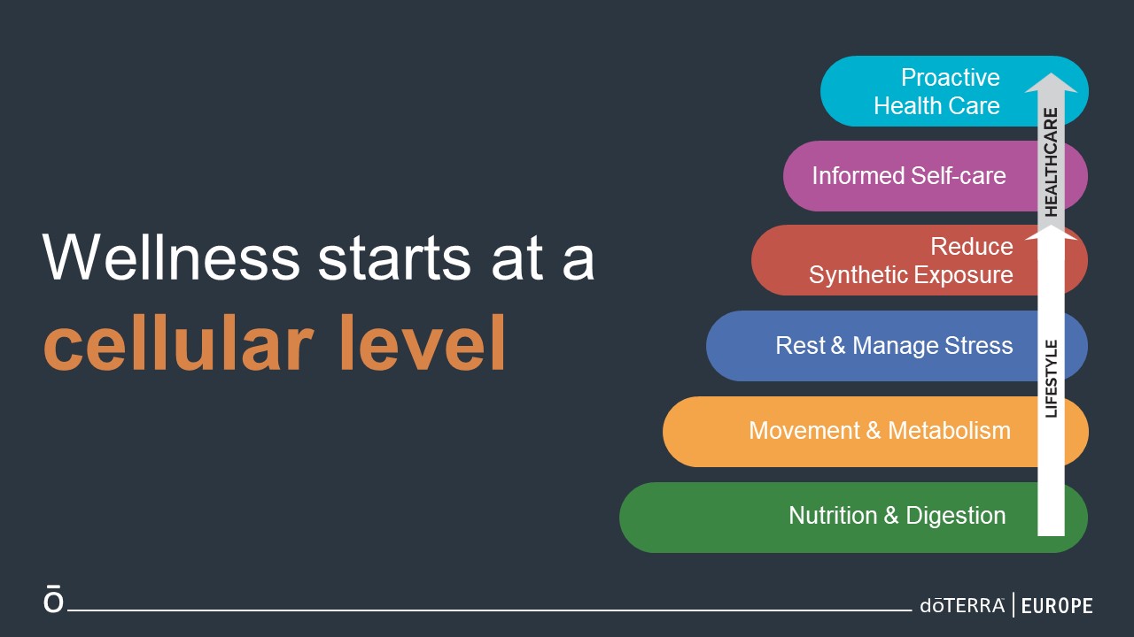 lifestyle, healthcare, wellness, cellular health, nutrition, digestion, metabolism, movement, pain, inflammation, performance, rest, sleep, insomnia, stress, anxiety, tired, relax, synthetic exposure, toxic load, toxins,self-care, natural health, proactive medical care, medical care, family health