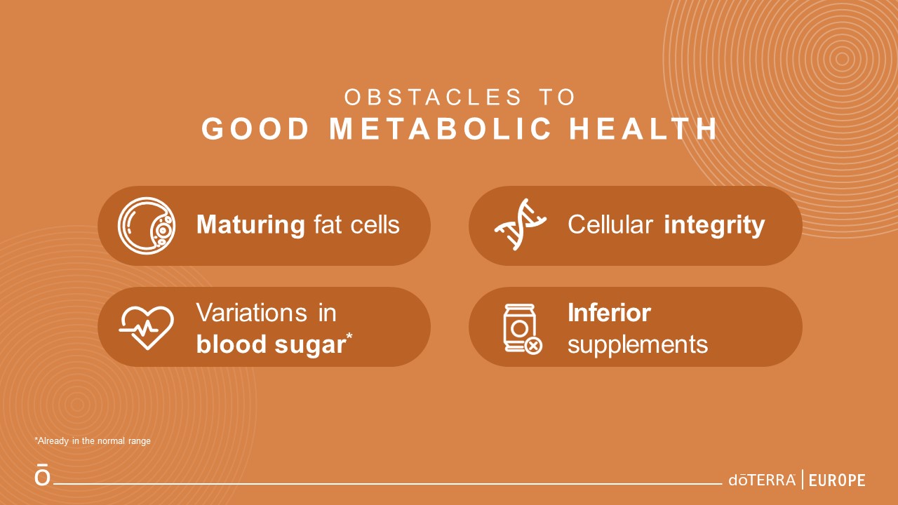 metabolic health, wieght gain fat cells, blood sugar, supplements, metabolism, normal blood sugar range