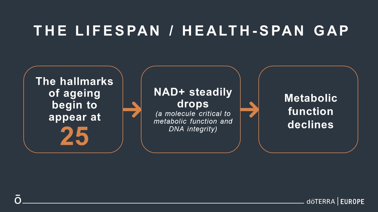 NAD+, metabolic uncion, cellular integrity, energy, age,weight gain, weitht loss, 