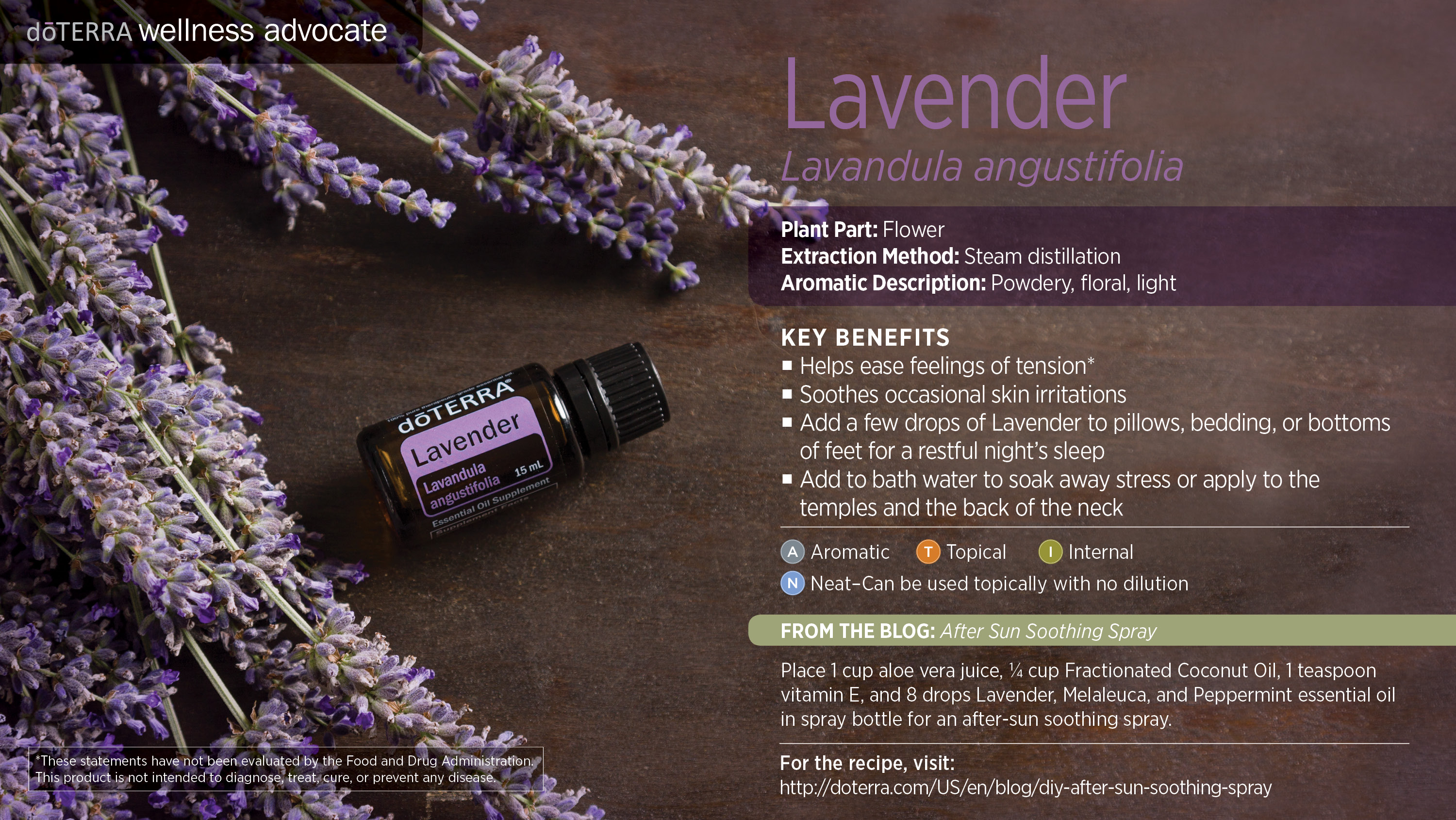 Sleep, Lavender Essential Oil, Lavandula Angustifolia, Flower Extraction, Steam Distilled Lavender, Powdery Floral Aroma, Light Scent Essential Oil, Tension Relief with Lavender, Skin Irritation Solutions, Restful Sleep Aids, Stress-Relieving Baths, Temple and Neck Application, Neat Essential Oil Use, DIY After Sun Spray, Aloe Vera and Lavender Spray, Fractionated Coconut Oil Mix, Vitamin E and Essential Oils, Melaleuca and Peppermint with Lavender.alming, regenerating, healing,teeth grinding, allergies,hay fever, coli, upset baby, hves,bug-bites, nosebleeds, sedaive, anti-histamine, cytophylatc, antipasmodic,nervine, rsoothing essential oil, antibacterial
