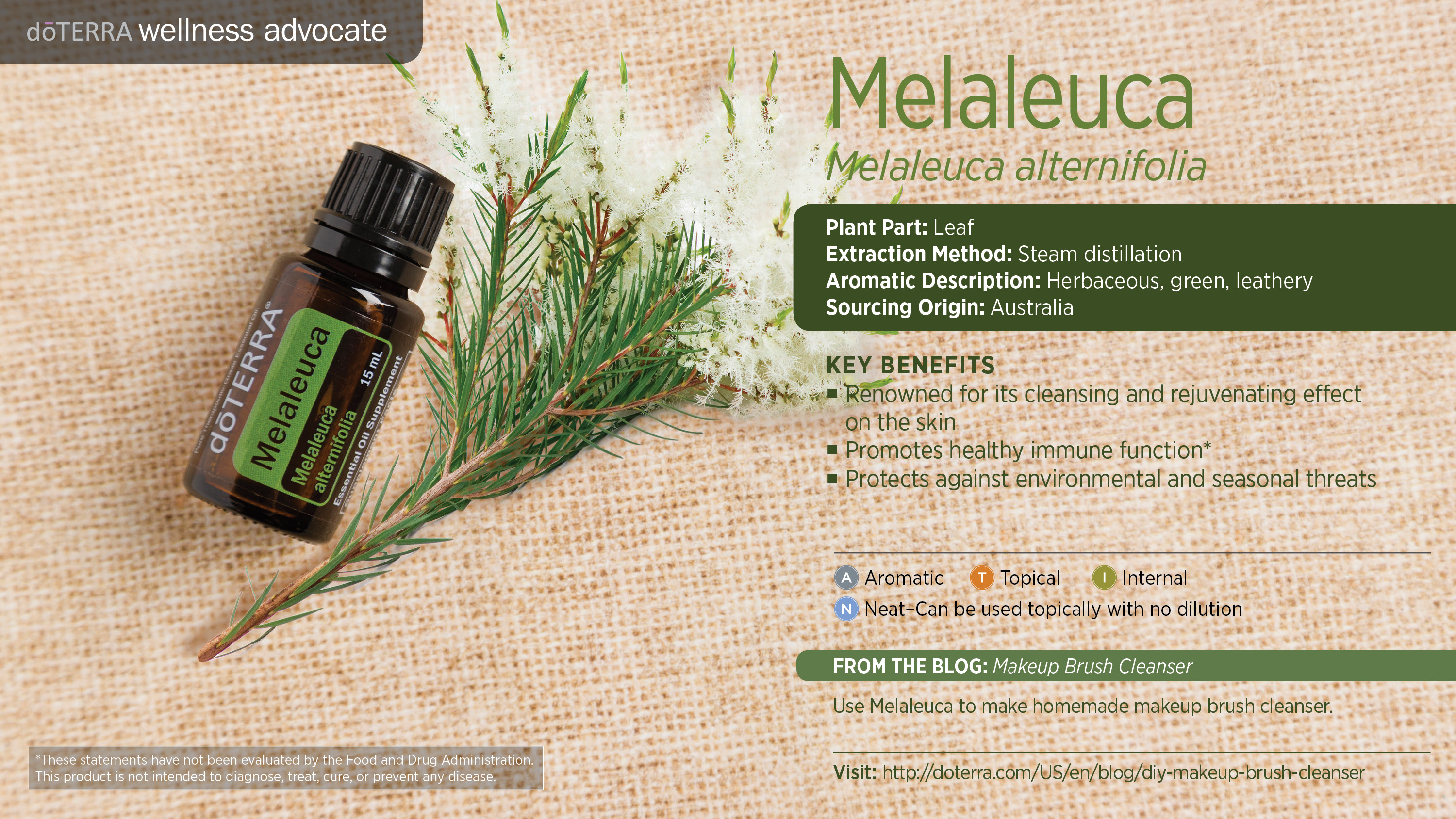 Tea Tree, BaMelaleuca Essential Oil, Tea Tree Oil, Melaleuca Alternifolia, Leaf Extraction, Steam Distilled Tea Tree, Herbaceous Aroma, Green Scent, Leathery Essential Oil, Australian Tea Tree Oil, Skin Cleansing Benefits, Rejuvenating Skin Effect, Healthy Immune Function, Environmental Protection, Seasonal Threat Defense, Aromatic Uses of Tea Tree, Topical Application Melaleuca, Internal Benefits of Tea Tree, Neat Tea Tree Oil Use, Homemade Makeup Brush Cleanser with Tea Tree, Tea Tree Essential Oil Benefits.teria, irusses, Cold Sores, Dandruff, Lice, Ear Infections, Acne, Bronchitis, Antiseptc, antibacterial,antifungal, anti-parasitic, analgesic, decongestant