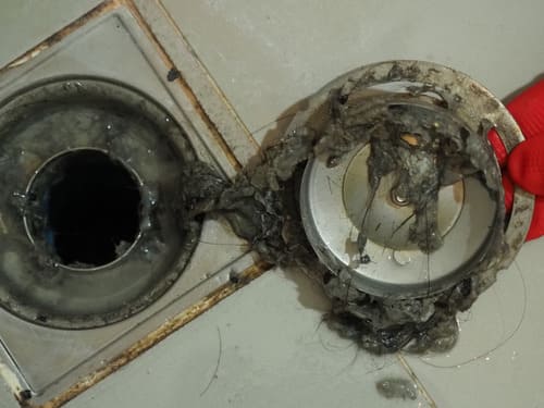 Drain Stoppage in Corona