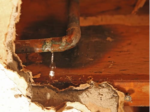 Leak Detection in Corona