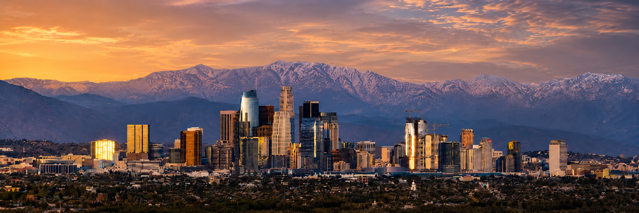 Los Angeles skyline with palm trees