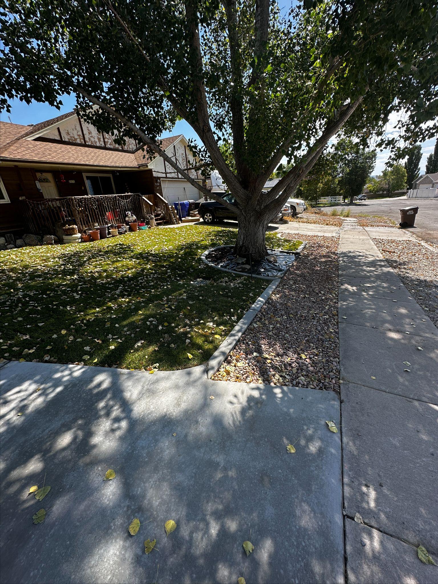 Side yard after: healthy green lawn