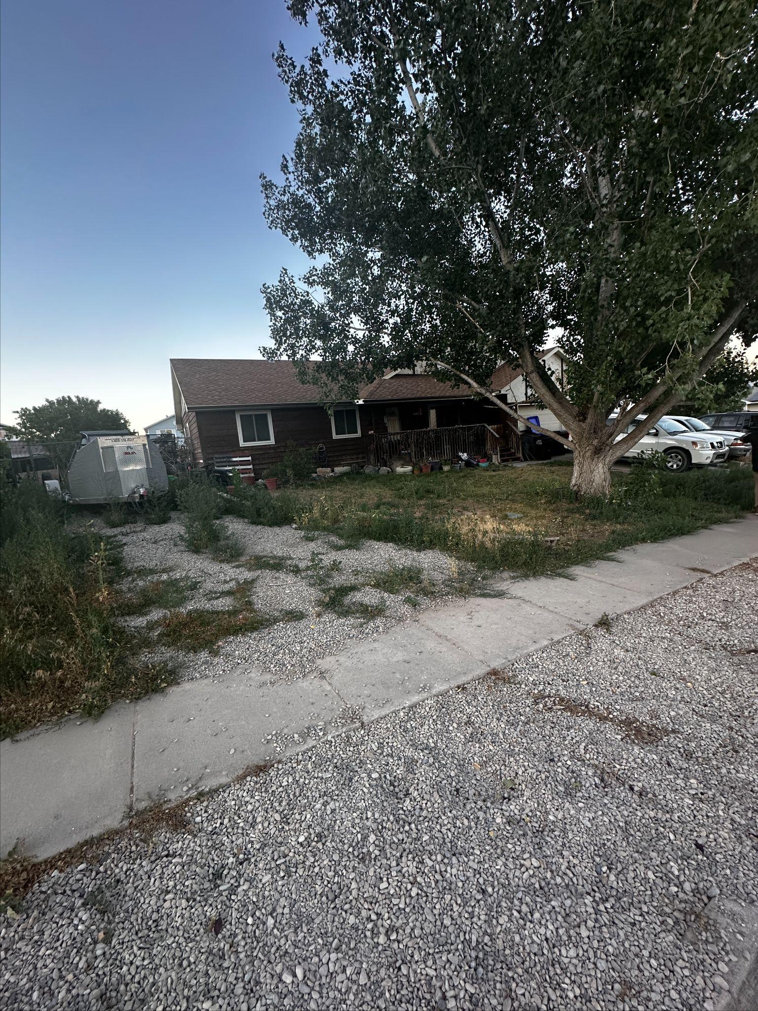 Side yard before: weeds and gravel