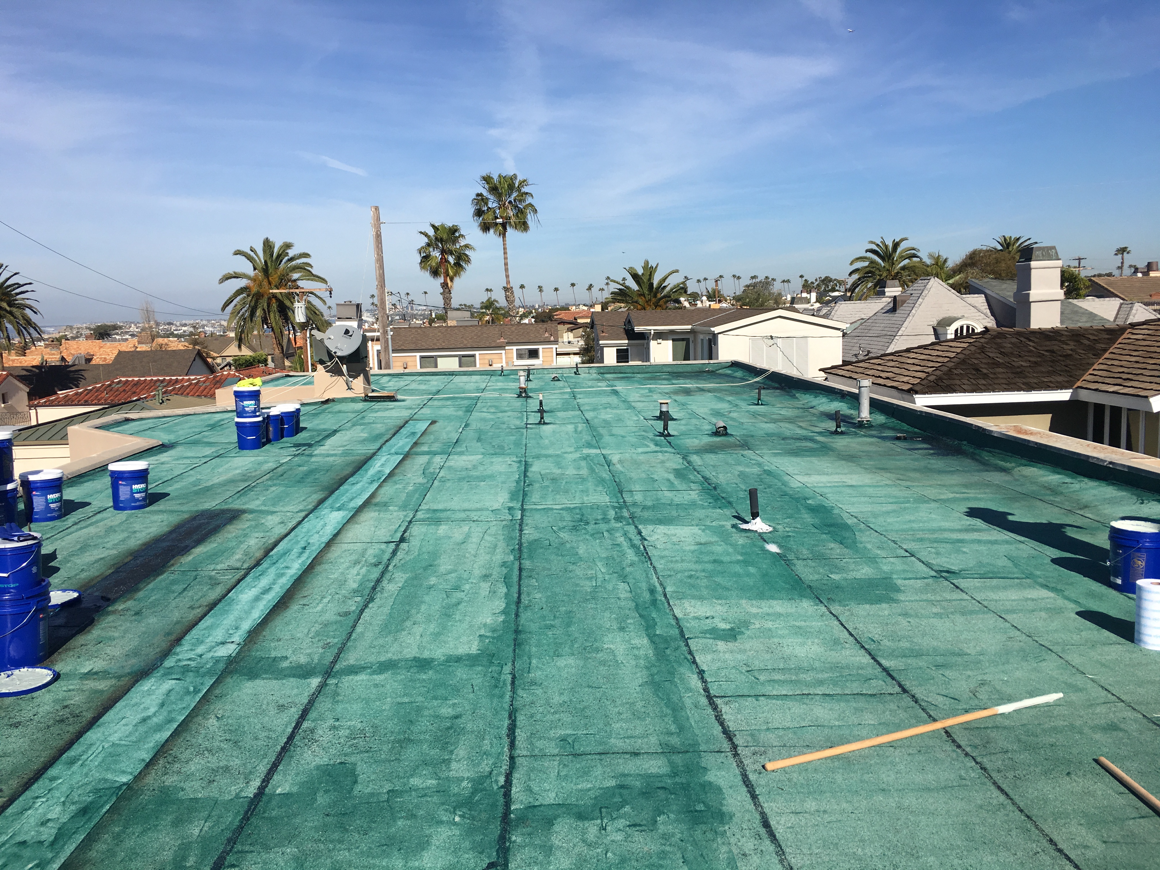 Primed commercial roof with palm trees