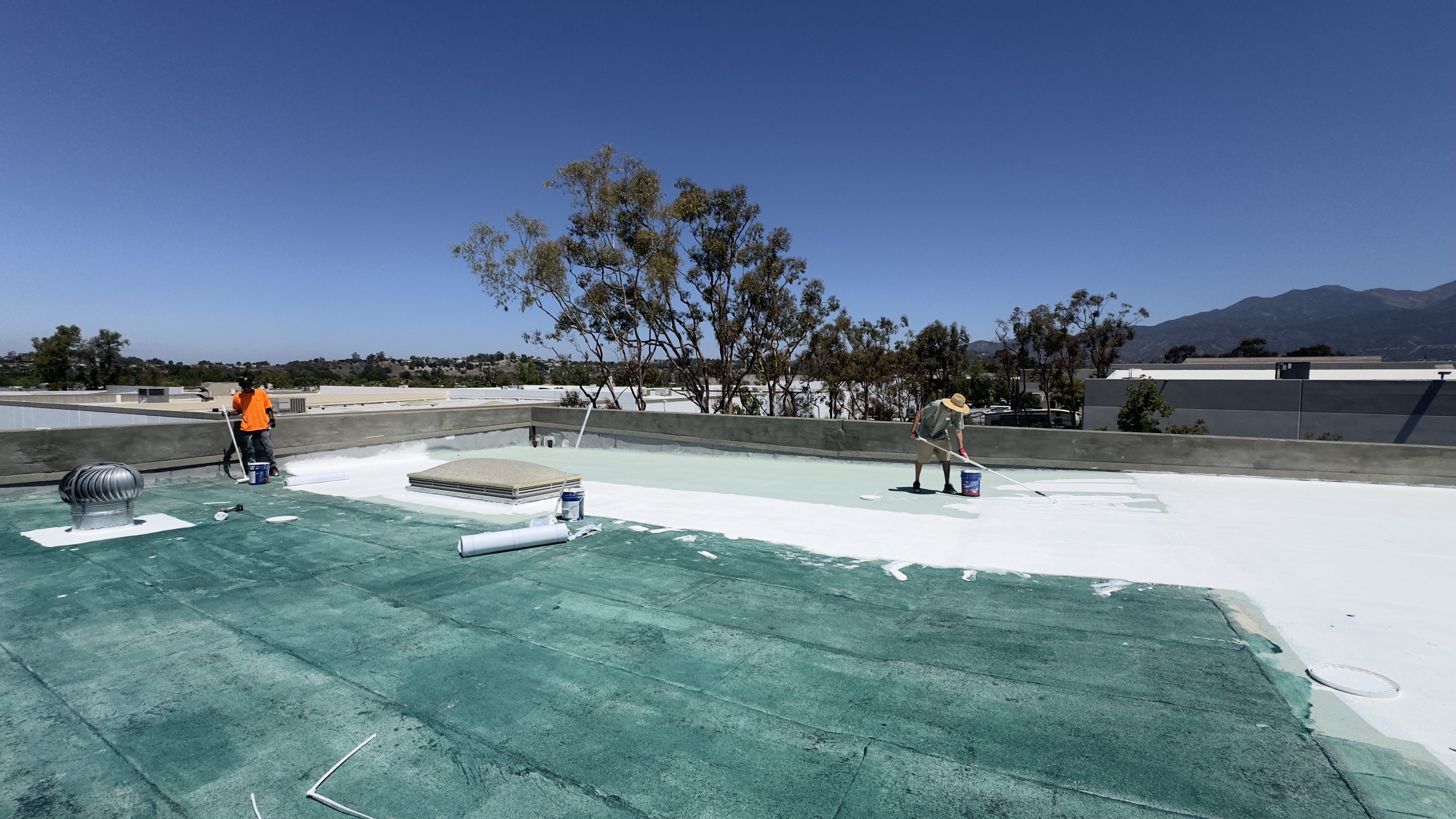 Finished coated roof with mature trees