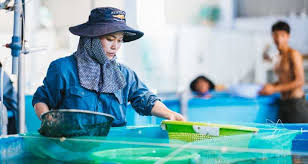 Monterey Fish Market