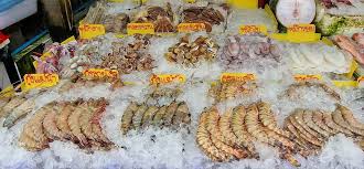 Commercial fish market seafood display on ice