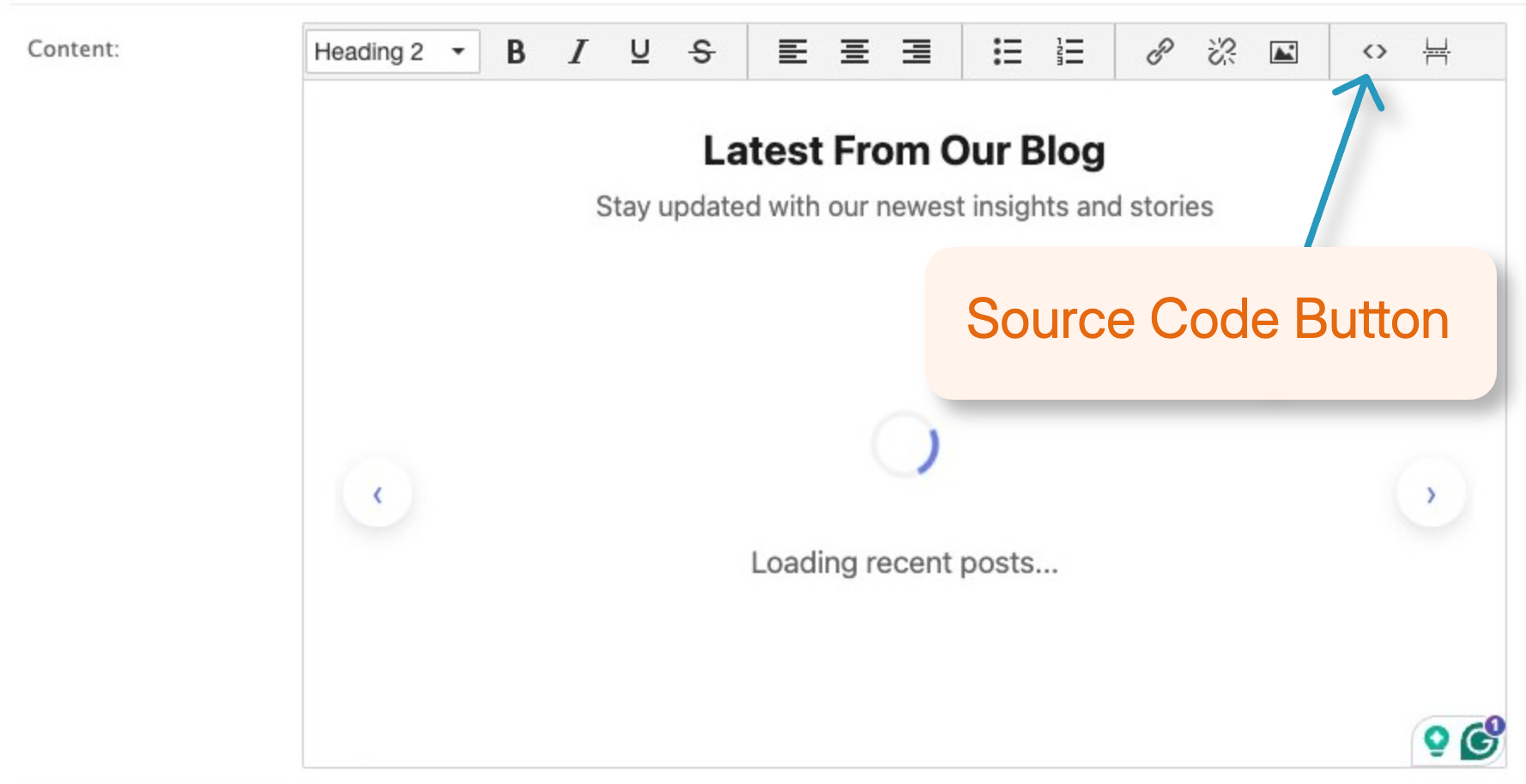 Real Geeks Editor Screenshot