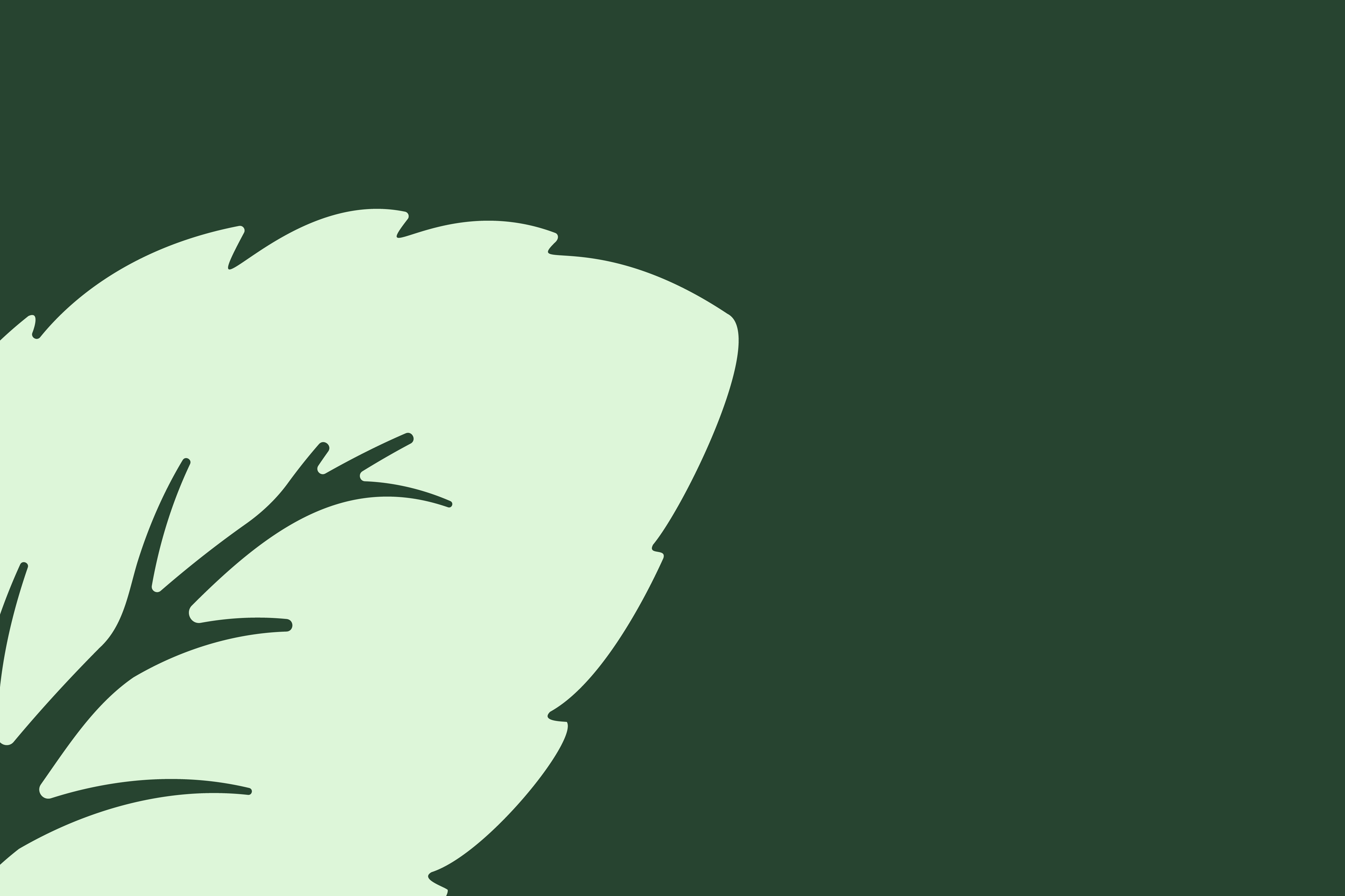 PackMint Design Services