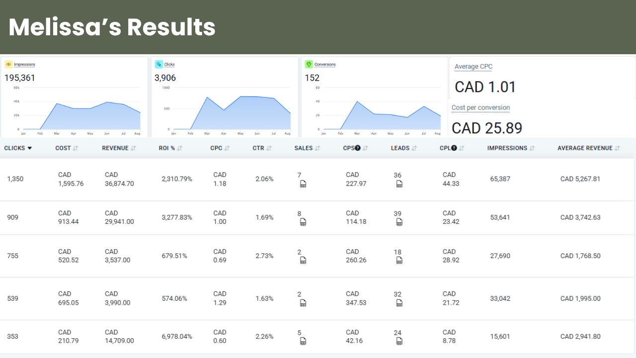 Melissa's real ad dashboard, showing revenue, ad spend and leads